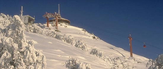 Excursion al Cerro OTTO