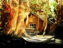 Excursiones en Bariloche