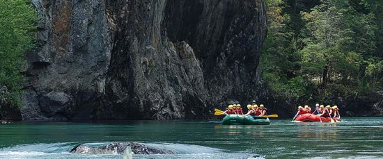 Rio Manso Rafting