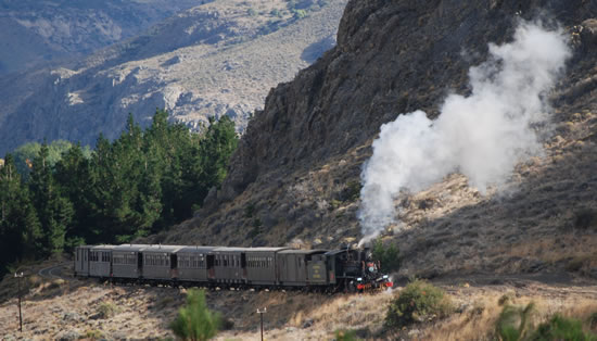 Trochita en Esquel